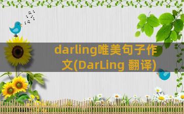 darling唯美句子作文(DarLing 翻译)